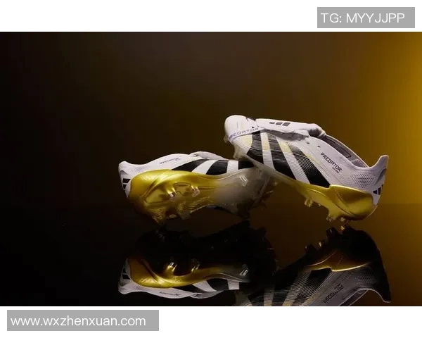 亿万身价的足球明星背后的故事与荣耀之路 亿万身价的足球明星背后的故事与荣耀之路