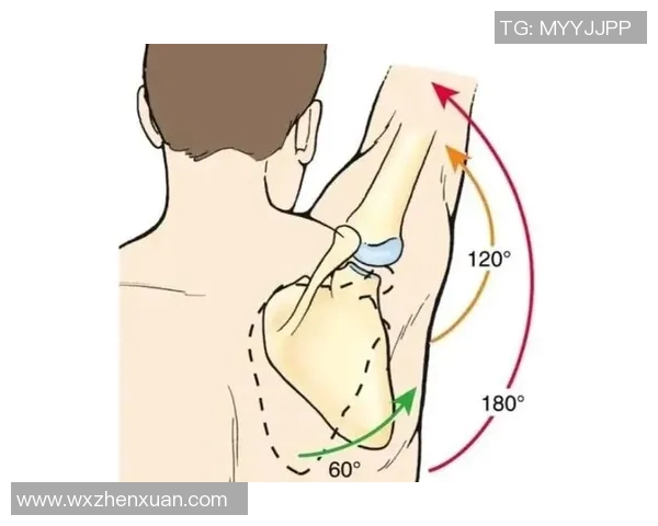 平板哑铃飞鸟训练导致肩膀疼痛的原因及解决方法解析