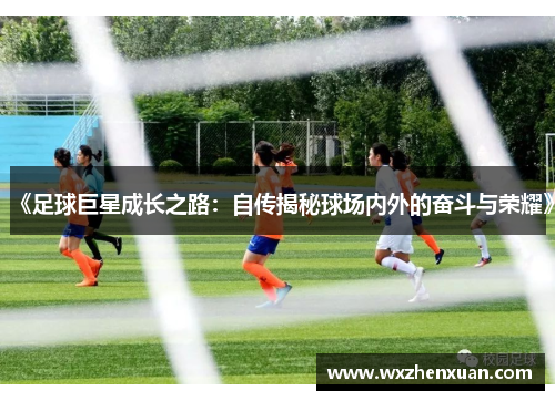 《足球巨星成长之路：自传揭秘球场内外的奋斗与荣耀》
