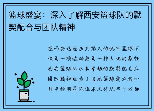 篮球盛宴：深入了解西安篮球队的默契配合与团队精神